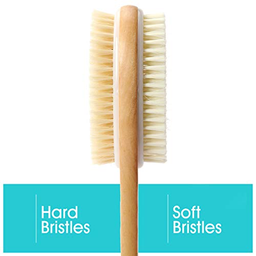 Back Brush for Shower and Bath (Shower Body Brush), Long Handled Body Brush, ...