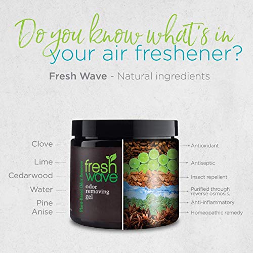 Fresh Wave Odor Removing Gel, 15 oz. (Pack of 2)