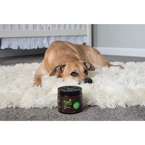 Fresh Wave Odor Removing Gel, 15 oz. (Pack of 2)