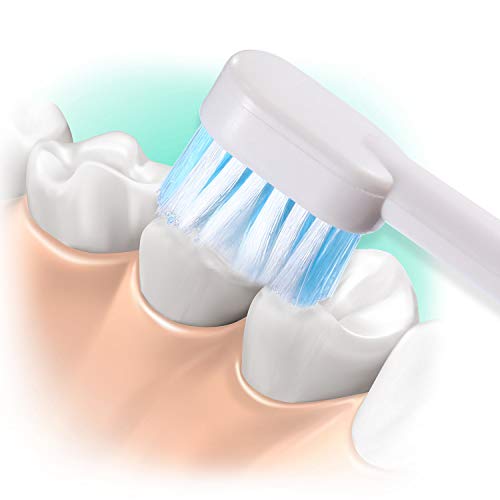 Replacement Standard Brush Heads Dental Water Jet Nozzle Accessories for Wate...