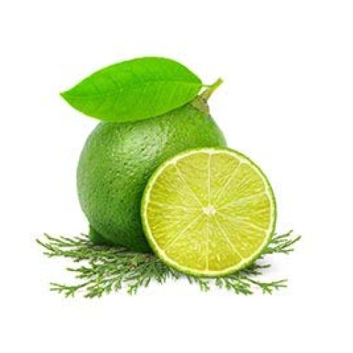 Fruits & Passion [Cucina] Lime Zest & Cypress Tree Hand Soap, (16.9 fl oz) - ...