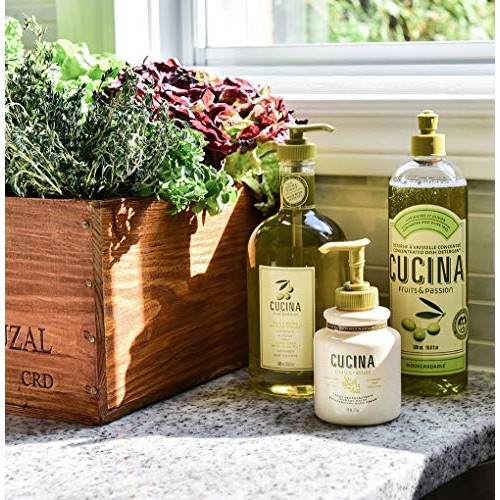 Fruits & Passion [Cucina] Lime Zest & Cypress Tree Hand Soap, (16.9 fl oz) - ...