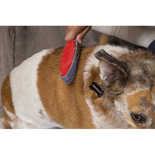 FURemover Duo, 2-Sided Lint Brush, Dog Multi-Brush, Lint Brush for Couch and ...
