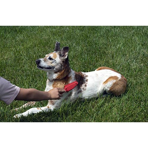 FURemover Pet Hair Removal Broom and Lint Brush Combo with Squeegee and Teles...