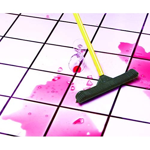 FURemover Pet Hair Removal Broom and Lint Brush Combo with Squeegee and Teles...