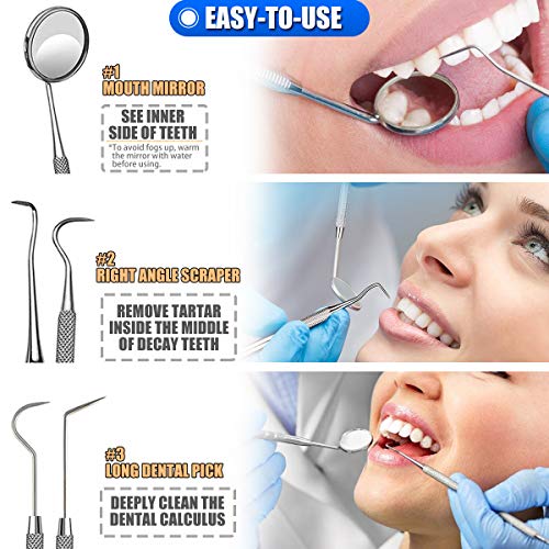 Dental Tools, 10 Pack Professional Plaque Remover Teeth Cleaning Tools Set, S...