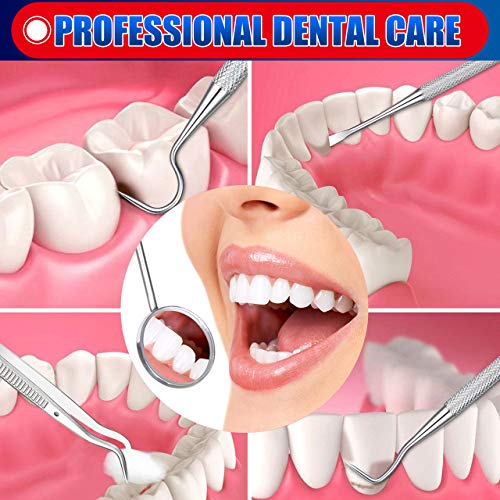 Dental Tools, Plaque Remover for Teeth, Professional Dental Hygiene Cleaning ...