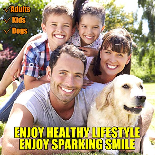 Dental Tools, Plaque Remover for Teeth, Professional Dental Hygiene Cleaning ...