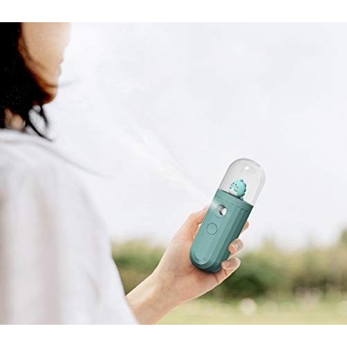 GaanDaan – Facial Mister, Nano fine mist, Moisturizing, Hydrating, and Refres...