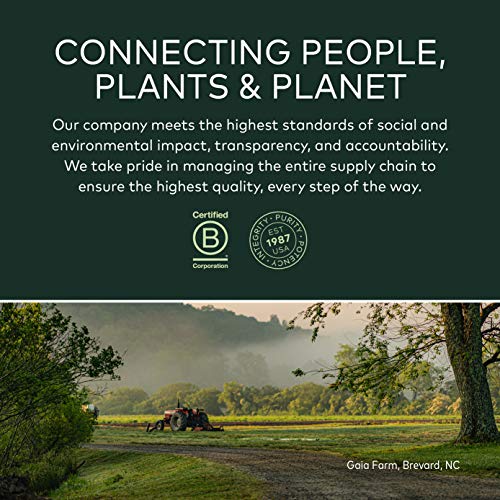 Gaia Herbs, Bronchial Wellness Herbal Syrup - Immune Support Supplement, Soot...