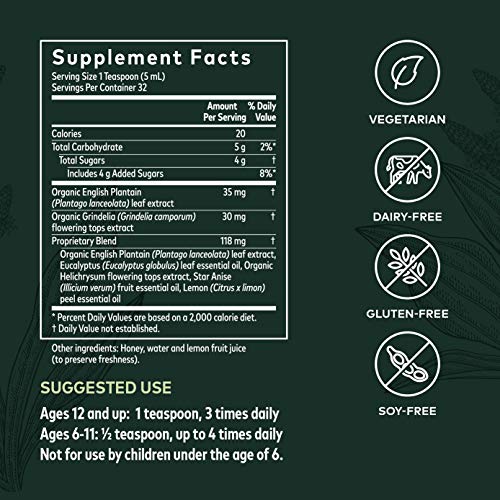 Gaia Herbs, Bronchial Wellness Herbal Syrup - Immune Support Supplement, Soot...