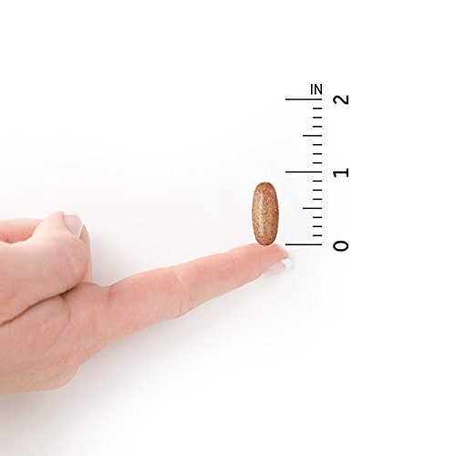 Garden of Life Multivitamin for Men - mykind Organic Men's Once Daily Whole F...