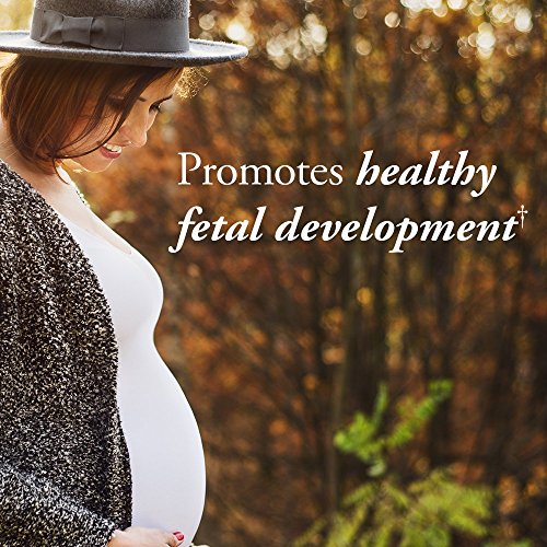 Garden of Life Prenatal Vitamins - mykind Organics Prenatal Multi - 90 Tablet...