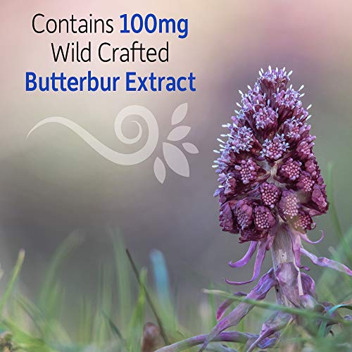 Garden of Life Sinus Care for Adults, Herbal Immune Balance Sinus Natural Sup...