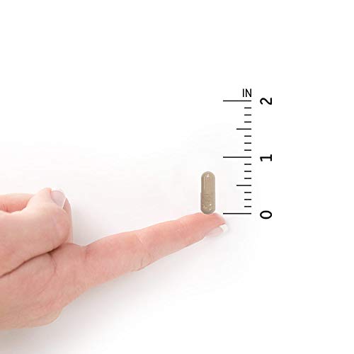 Garden of Life Sinus Care for Adults, Herbal Immune Balance Sinus Natural Sup...