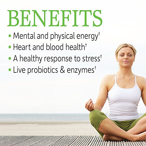 Garden of Life Vitamin B Complex - Vitamin Code Raw B Complex - 120 Vegan Cap...