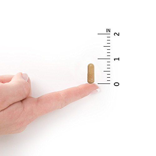 Garden of Life Vitamin B Complex - Vitamin Code Raw B Complex - 120 Vegan Cap...