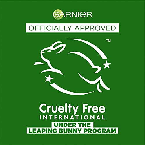 Garnier Fructis Sleek and Shine 22 fl; oz; - 1 Shampoo + 1 Conditioner (Famil...