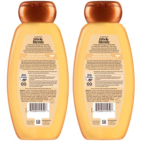 Garnier Hair Care Whole Blends Honey Treasures Repairing Shampoo and Conditio...