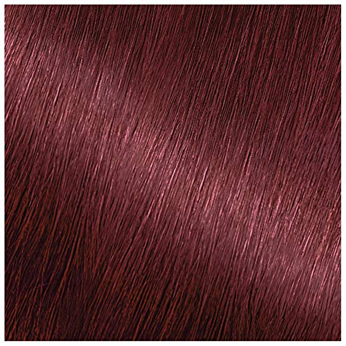 Garnier Nutrisse Ultra Color Nourishing Permanent Hair Cream, R2 Medium Inten...