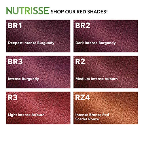 Garnier Nutrisse Ultra Color Nourishing Permanent Hair Cream, R2 Medium Inten...