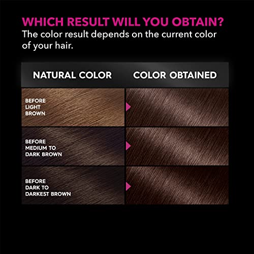 Garnier Olia Ammonia Free Permanent Hair Color, 100% Gray Coverage (Packaging...