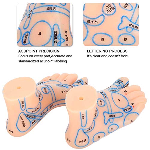 1 Pair of Human Feet Acupoint Model Feet Massage Acupuncture Acupoint Model T...