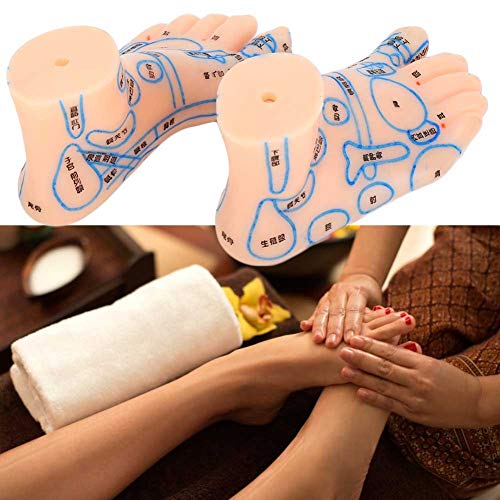 1 Pair of Human Feet Acupoint Model Feet Massage Acupuncture Acupoint Model T...