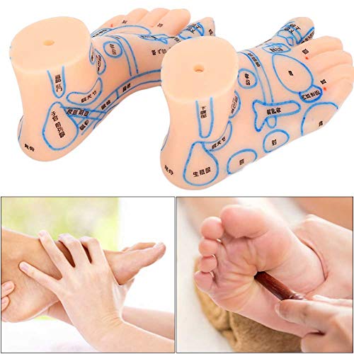 1 Pair of Human Feet Acupoint Model Feet Massage Acupuncture Acupoint Model T...