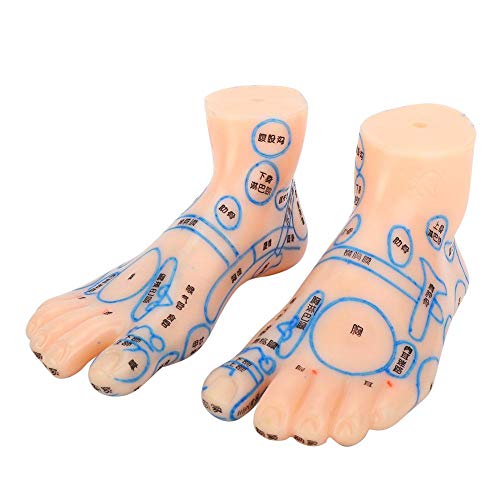 1 Pair of Human Feet Acupoint Model Feet Massage Acupuncture Acupoint Model T...