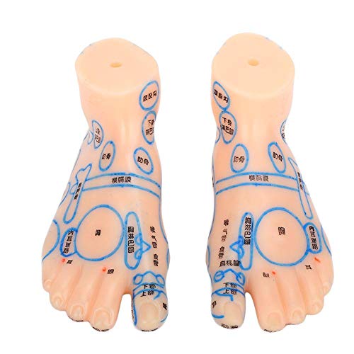 1 Pair of Human Feet Acupoint Model Feet Massage Acupuncture Acupoint Model T...