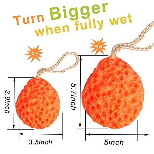 3 Pack Natural Bath Sponges, Loofah Shower Sponge Body Scrubber Exfoliating C...