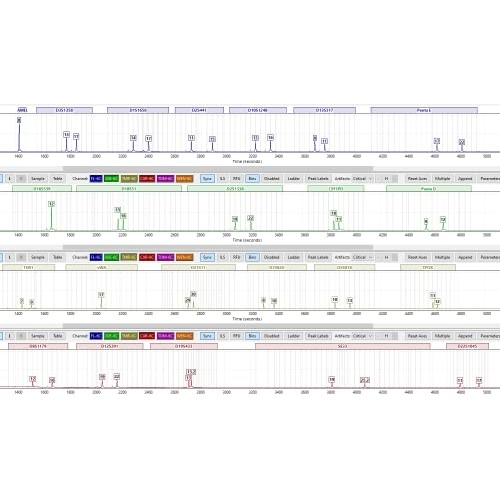 Cousin DNA Test Kit (Personal use only, Results in 1-3 Days, All lab fees Inc...