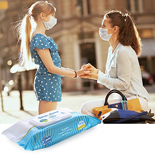 Germ-Away Plant-Based Hand Sanitizing Wipes in Resealable Softpack, 72ct, Eco...