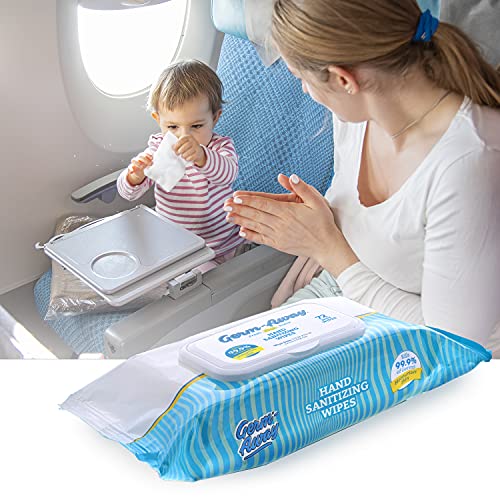 Germ-Away Plant-Based Hand Sanitizing Wipes in Resealable Softpack, 72ct, Eco...