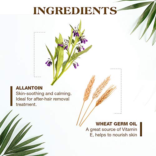 GiGi Hair Removal Strips for the Body - Pre-Waxed with GiGi All-Purpose Honee...