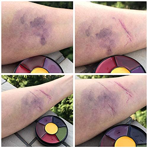 Go Ho 6 Colors Bruise Makeup Set for SFX,Bruises Wheel for Body Oil Paint The...