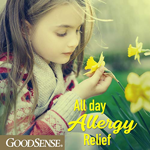 GoodSense Children’s All Day Allergy, Cetirizine Hydrochloride Oral Solution ...