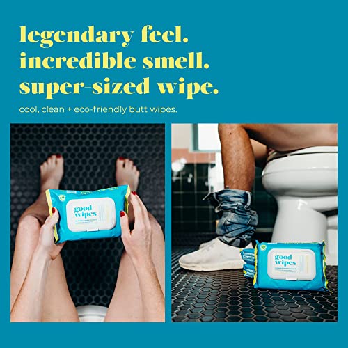 Goodwipes Flushable & Biodegradable Wipes with Botanicals, Dispenser for At-H...