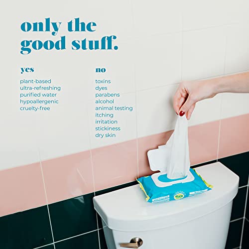Goodwipes Flushable & Biodegradable Wipes with Botanicals, Dispenser for At-H...
