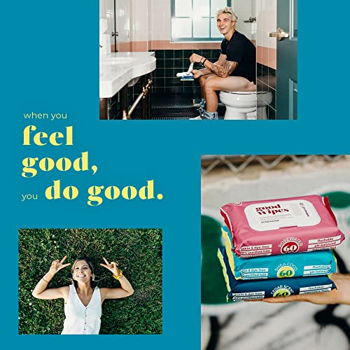 Goodwipes Flushable & Biodegradable Wipes with Botanicals, Dispenser for At-H...