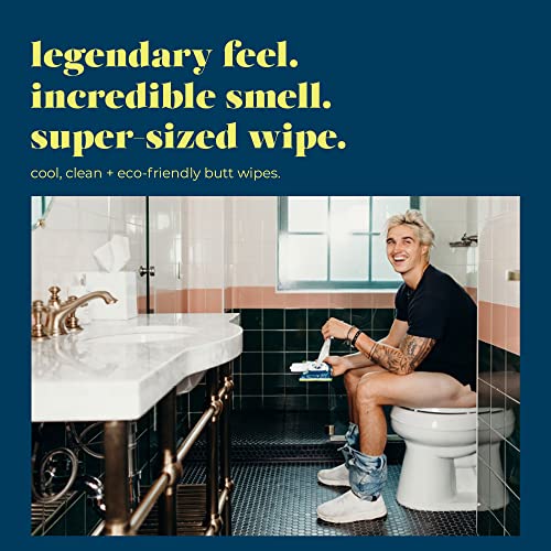 Goodwipes Flushable & Plant-Based Wipes with Botanicals | Dispenser for At-Ho...