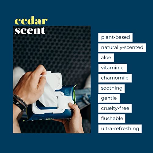 Goodwipes Flushable & Plant-Based Wipes with Botanicals | Dispenser for At-Ho...