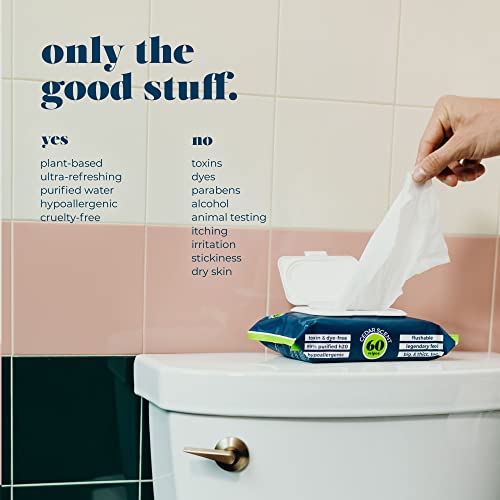 Goodwipes Flushable & Plant-Based Wipes with Botanicals | Dispenser for At-Ho...