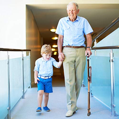 Goplus Adjustable Folding Cane Seat, Aluminum Alloy Crutch Chair with LED Lig...