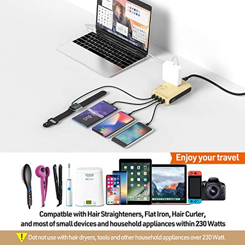 Voltage Converter 230W Step Down 220V/240V to 110V/120V, International Travel...