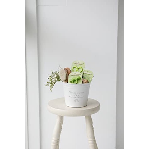 green sprouts Baby Brush & Comb Set | Gently grooms baby's hair | Made of nat...