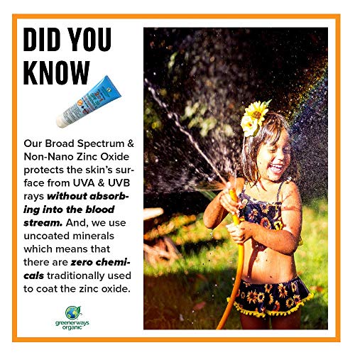 Greenerways Organic 2-in-1 Natural Sunscreen Bug Repellent Lotion in One, SPF...