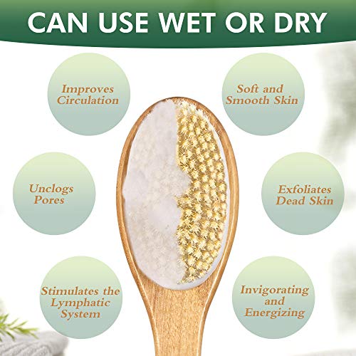 Back Brush Long Handle For Shower - Soft And Firm Double Sided Exfoliating Ba...