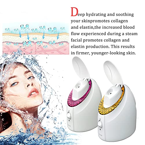 Facial Steamer, 20 Min UV Nano Ionic face steamer GreenLife warm mist Steam K...